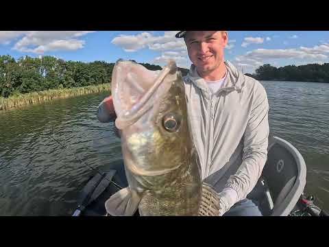 Видео: Злые судаки сентября 
