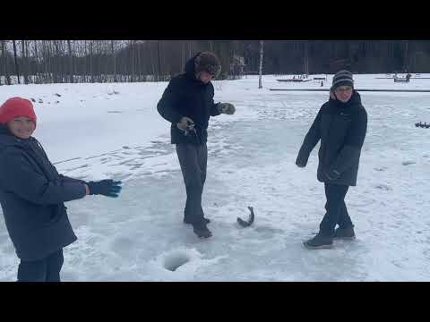 Видео: Ловим гольца и форель. 23.02.25