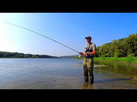 Видео: ОТВОДНОЙ ПОВОДОК. Рыбалка на спиннинг на ОКЕ. Конец лета.