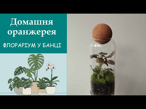 Видео: Флораріум у банці.
