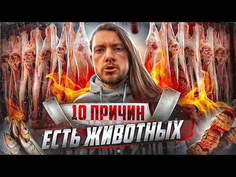 Видео: 🥩 "Человек - мясоед!" 10 причин есть мясо: проверяем факты // мясоед против вегана // Тёма Дереко