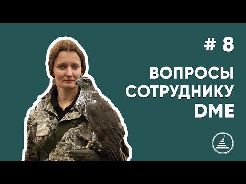 Видео: НИКА РЫЖОВА-АЛЕНИЧЕВА #YOLL И СИЛЬВА НА СТРАЖЕ АЭРОПОРТА ДОМОДЕДОВО