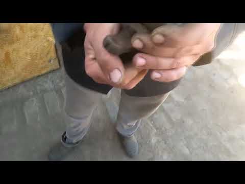 Видео: 2я серия Иртышский район село Исы Байзакова.