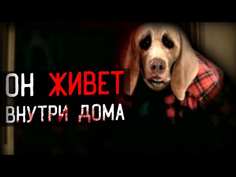 Видео: СОБАЧИЙ КОШМАР ПОХИТИЛ ДЕТЕЙ | Dog Nightmares