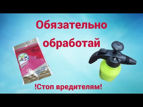 Видео: Фуфанон опрыскивание деревьев саду, как правильно использовать