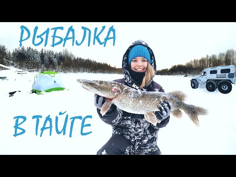 Видео: В МОРОЗ НА ЛЬДУ ТАЕЖНОЙ РЕКИ! Уехали в глушь на рыбалку. Живем в палатке на льду и ловим рыбу.