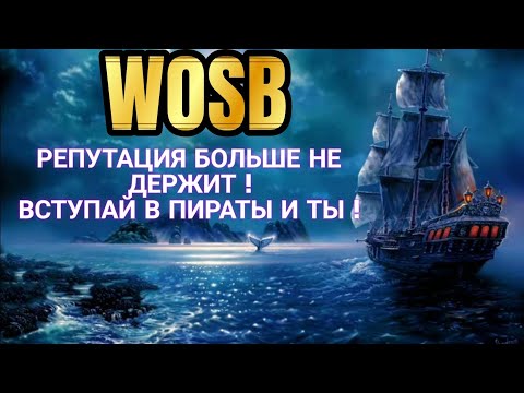 Видео: Wosb Пиратство и ничего кроме пиратства !)