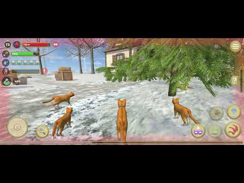 Видео: Котик Барсик играть в симулятор семьи кошек 