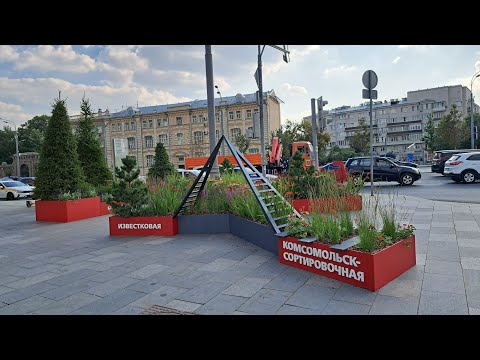 Видео: г. Москва, центральный административный округ, улица Садовая-Черногрязская. Клумба. 27.08.2024г.