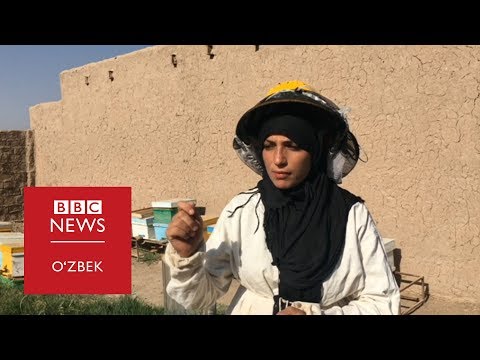 Видео: "Устимдан кулган ҳамқишлоқларим энди мендан ёрдам сўрашяпти"