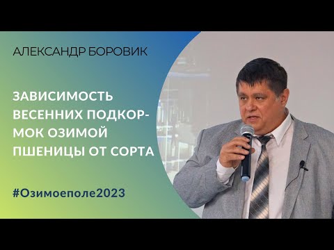 Видео: Зависимость весенних подкормок озимой пшеницы от сорта