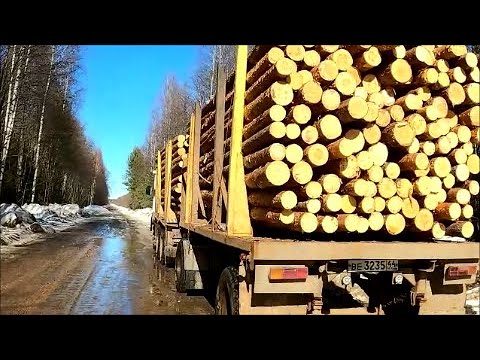 Видео: Возим лес в Шарью.