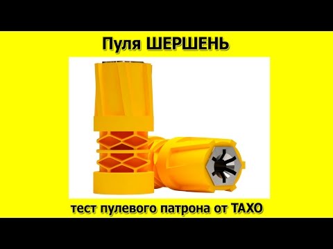 Видео: Пуля Шершень