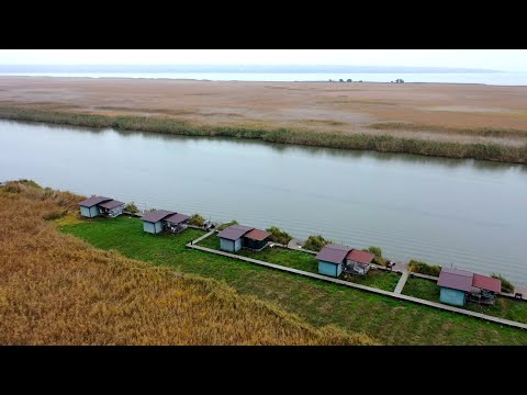 Видео: Рыбалка в устье Днестра, поймали 30 карпов, и погоняли хищника в канале!