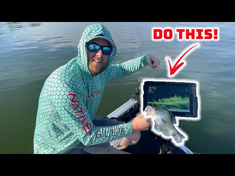 Видео: Как использовать LIVESCOPE, чтобы поймать БОЛЬШЕ КРАППИ!!!