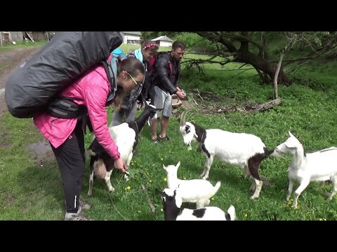 Видео: Стрипа 2017 6 частина р. Дністер - с. Устечко - водоспади Дівочі сльози та Джуринський - м. Заліщики