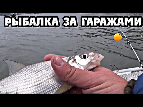 Видео: РЫБЕЦ ЛОВИТСЯ НА МОРСКОГО ЧЕРВЯ / РЫБАЛКА С ЛОДКИ РЫБЦА