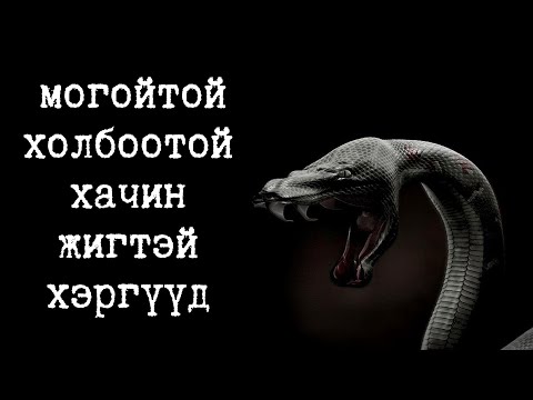 Видео: Могойтой зүй бусаар харьцсан гай түйтгэр