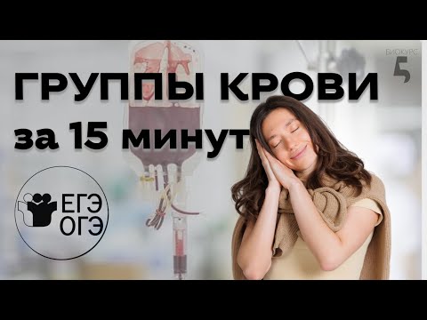 Видео: ОГЭ и ЕГЭ по Биологии за 15 МИНУТ | агглютинины и агглютиногены, группы крови, переливание | ЛАЙФХАК