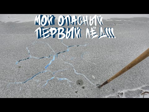 Видео: Рыбалка у дома!Первый лёд сезона 2023-2024!
