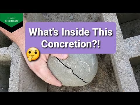 Видео: Вскрытие конкреций — обнаружены окаменелости!