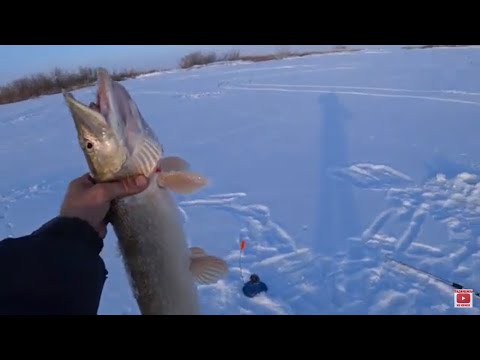 Видео: Рыбалка на Реке КУЛАНОТПЕС  .А где РЫБА ????