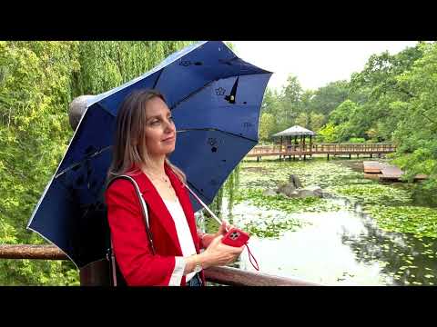 Видео: Японский сад .Вроцлав.Невероятная красота .