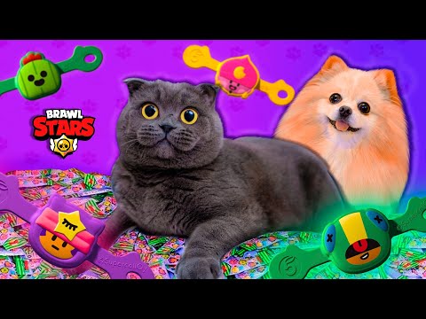 Видео: ПОПАЛСЯ НОВЫЙ БРАВЛ ! КИСА БАТТЕРС ОТКРЫВАЕТ СКРЕПЫШИ БРАВЛЫ из ПЯТЕРОЧКИ