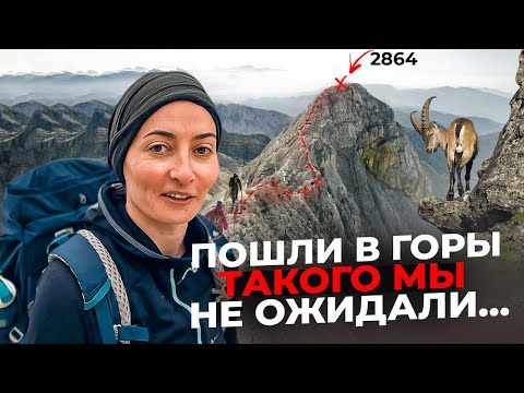 Видео: МОЙ ПОДЪЁМ на высоту 2864 МЕТРА | Самая высокая гора Словении — Триглав