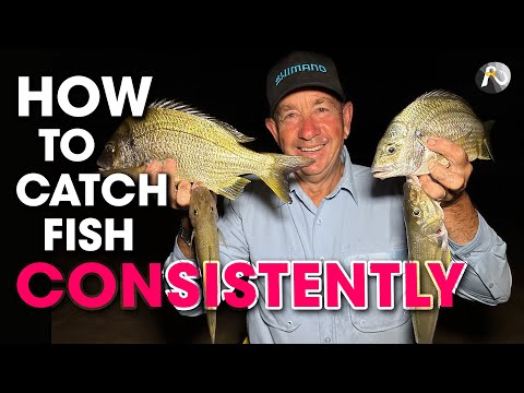 Видео: ПОТРЯСАЮЩЕЕ действие в прибрежной зоне: рыбалка на червей и свежих кальмаров