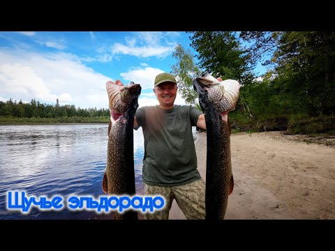 Видео: ЩУЧЬЕ ЭЛЬДОРАДО НА КРАЙНЕМ СЕВЕРЕ 