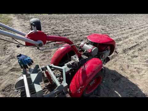 Видео: Копаєм картоплю мотоблоком Мотор Січ Мб-8е! Сезон копання картоплі 2023!
