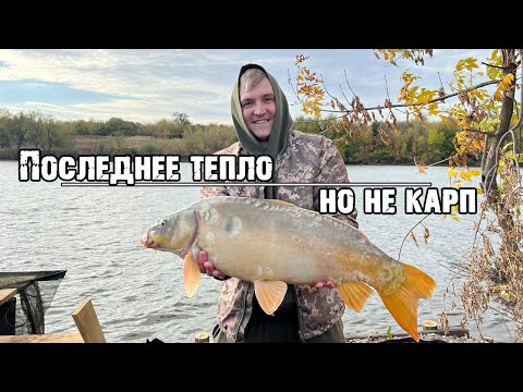 Видео: Последнее тепло октября, но сезон ещё не закрыт!Осенний Carpfishing или как заболеть на рыбалке