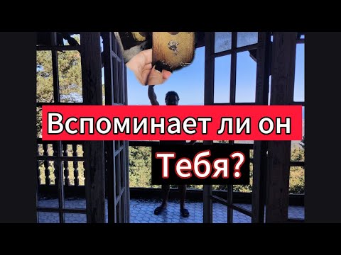 Видео: Гадание на картах. ВСПОМИНАЕТ ЛИ ОН ТЕБЯ?
