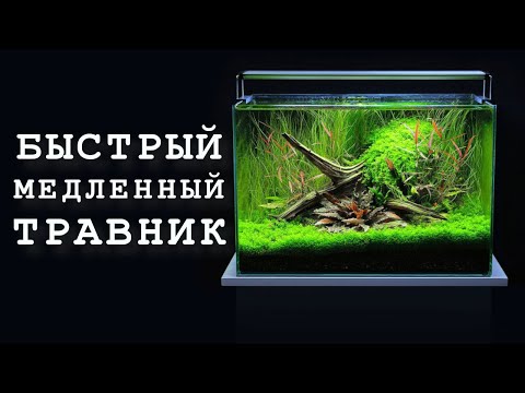 Видео: Быстрый медленный травник лайФФсейшин