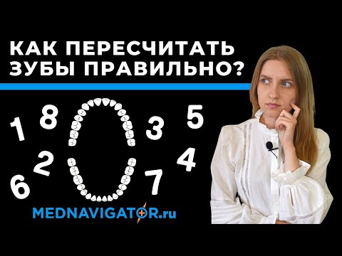 Видео: Зубы - сколько зубов у человека? Номера зубов в стоматологии | Mednavigator.ru