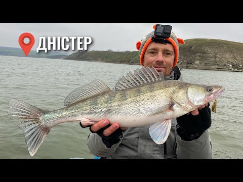 Видео: Судак з кожного якоря. Найкраща риболовля на Дністрі по судаку