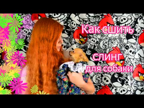 Видео: Как сшить удобный слинг  переноску для собаки