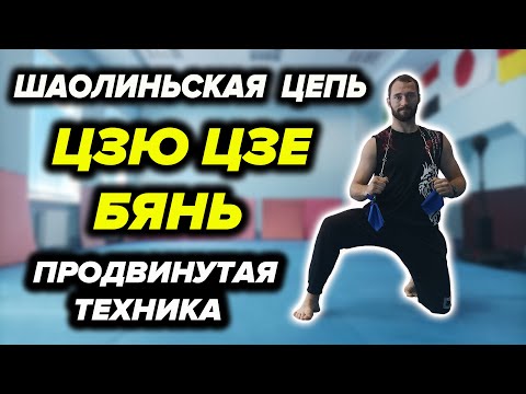 Видео: Шаолиньская Цепь. Продвинутая Техника. Урок №3