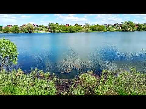 Видео: Осиново, озеро  2.   05  30 2022  VID 20220530 135408