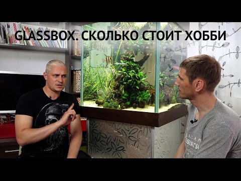 Видео: Glassbox. Сколько стоит Хобби