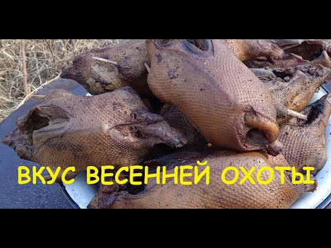 Видео: ВКУС ВЕСЕННЕЙ ОХОТЫ. ХОЗЯЕВА ТАЙГИ.