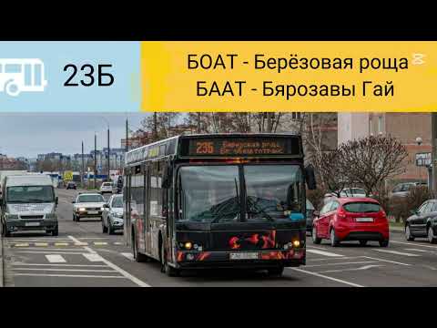 Видео: Информатор Брестского автобуса №23б.БОАТ - Берёзовая роща.#информатор@ТрансФан @DamboltTrans2010