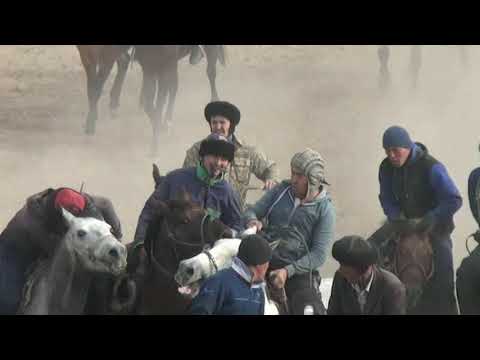 Видео: Көкпар Шардара   Қоссйіт ауылы  17 11 2018 ж  1 болим
