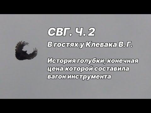 Видео: СВГ. В гостях у Клевака В.Г. Ч.2