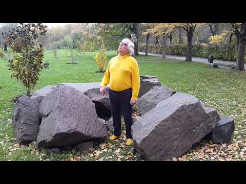 Видео: ВОТ И ОСЕНЬ