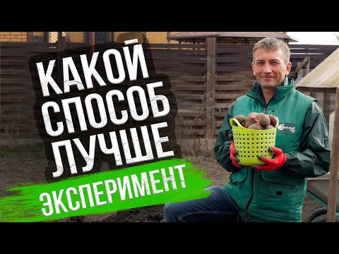 Видео: Сажаем картофель в солому, почву и агроволокно. НОВЫЙ ЭКСПЕРИМЕНТ!