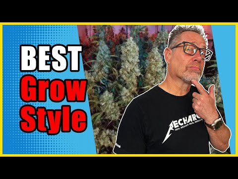Видео: Лучший способ выращивания каннабиса для максимального урожая в ЛЮБОЙ среде