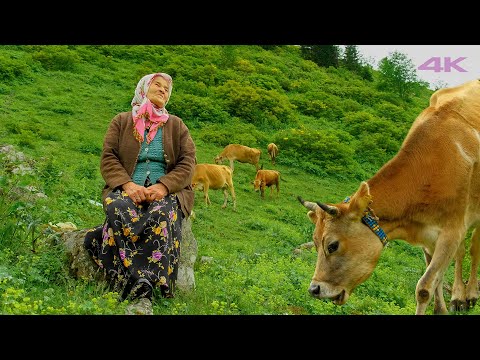 Видео: жизнь в горах - бабушка Нурие и ее внуки | Документальный фильм ▫️4K▫️
