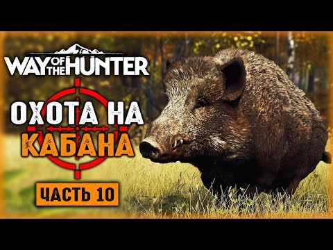 Видео: ОХОТА В ТРАНСИЛЬВАНИИ! ОХОТА НА КАБАНА! | Way of the Hunter 🐻 | Часть #10